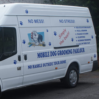 van graphics